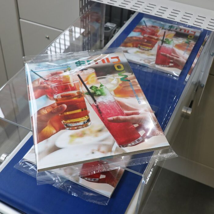 Automatyczna pakowarka flow-pack SR550 - obrazek 3