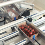 Automatyczna pakowarka flow-pack SR750 - obrazek 8